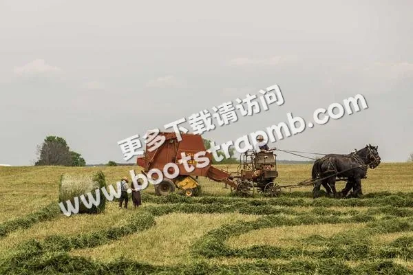 ⊞ Portfolio - 奇异果体育直播APP
